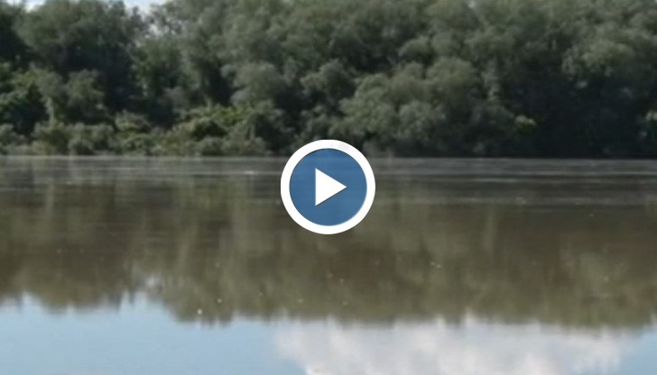 Община Русе свиква кризисен щаб заради нивото на река Дунав