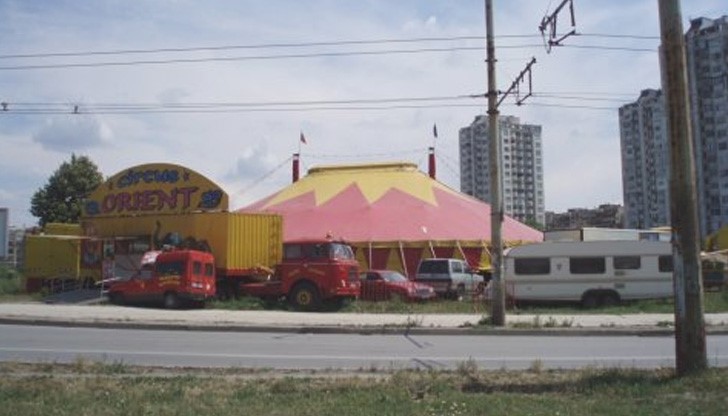 Цирк "Ориент" подарява 3000 билета на малчуганите в Русе Цирк "Ориент" подарява 3000 билета на малчуганите в Русе