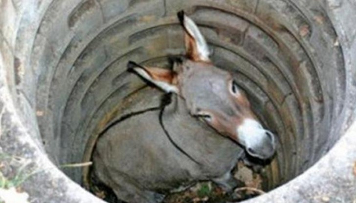 Всяко зло - за добро Всяко зло - за добро