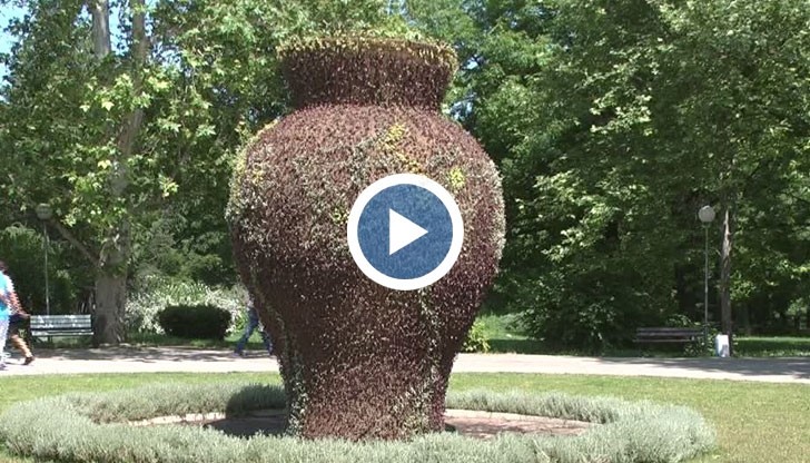 Вазата в младежкия парк ще има нов цветен облик