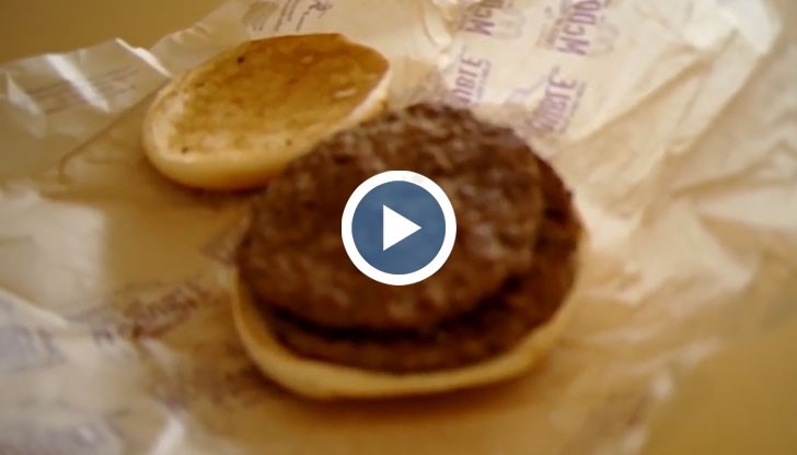 Ето защо не трябва да ядете сандвич от Макдоналдс!