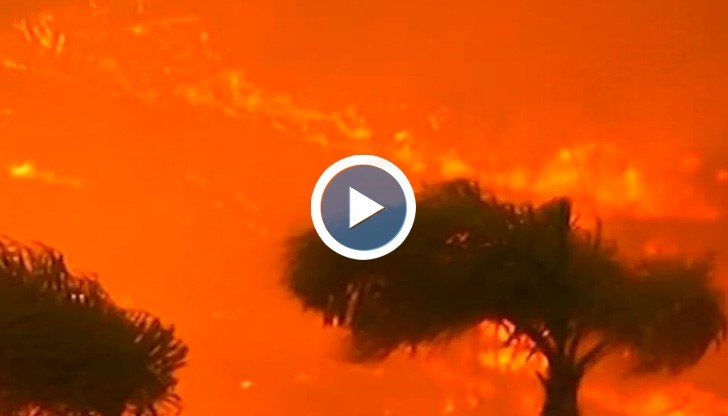 Горски пожари в Калифорния унищожиха десетки жилища