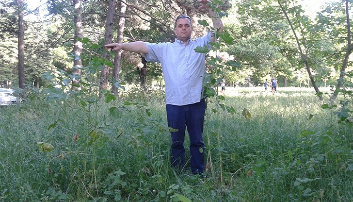 Канят Пламен Стоилов на разходка в "Европейската горичка", където расте "неевропейска тревичка"