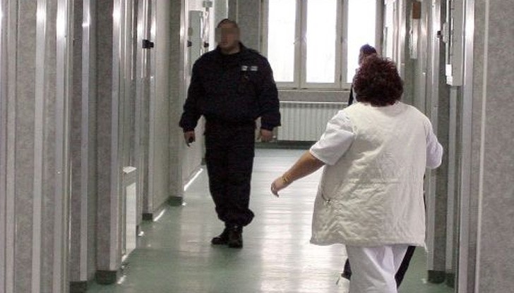 Циганин потроши Спешното в Монтана след ухапване от змия