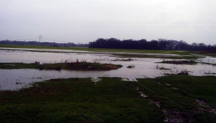 Дунав заля земи край Ряхово и Бръшлен заради неработещи помпени станции