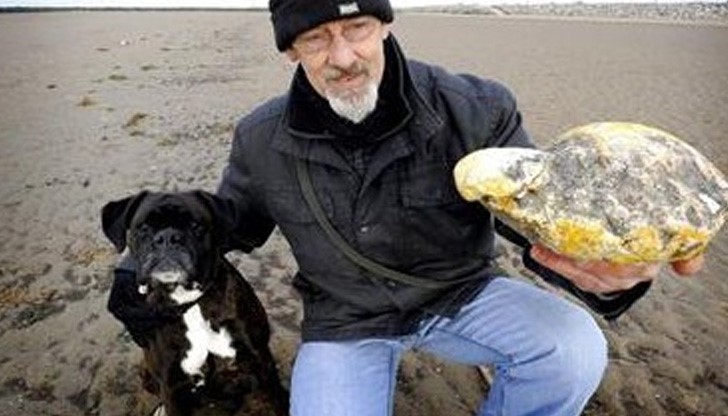 Мъж намери повърнато от кит, чуди се дали да вземе 50 000 евро за него