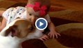 Куче учи бебе как да пълзи!