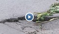 Русенци трошат автомобили по улици с дупки и пропадания