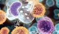 Учени: Химиотерапията не лекува рака