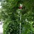 Скрити от дървета пътни знаци в Русе затрудняват шофьорите
