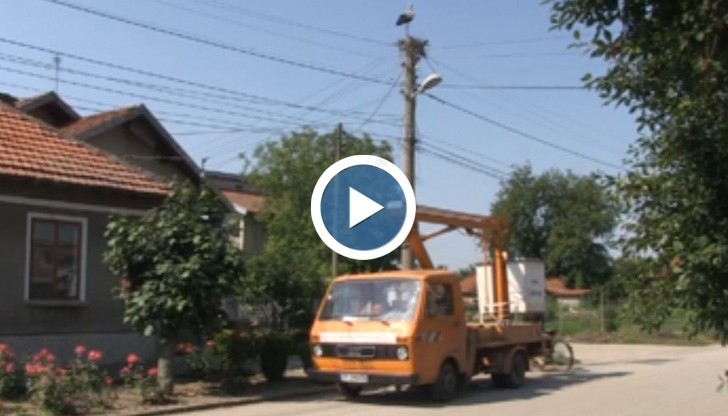 Дариха щъркели с нов дом в Ряхово