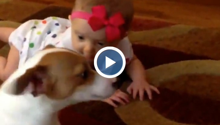 Куче учи бебе как да пълзи!