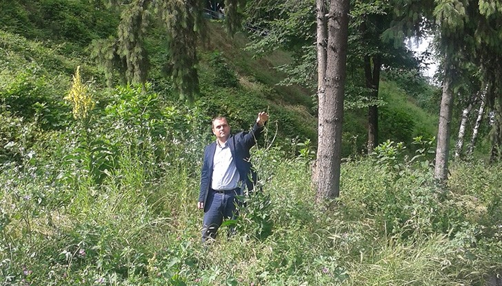 Общински съветници: Очакваме всеки момент Тарзан да изскочи от гъсталаците