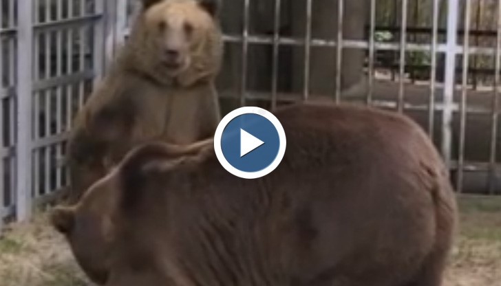 Домът на Бойка и Станди вече според европейските стандарти