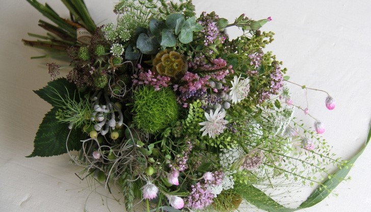 Отбелязват празника на билките