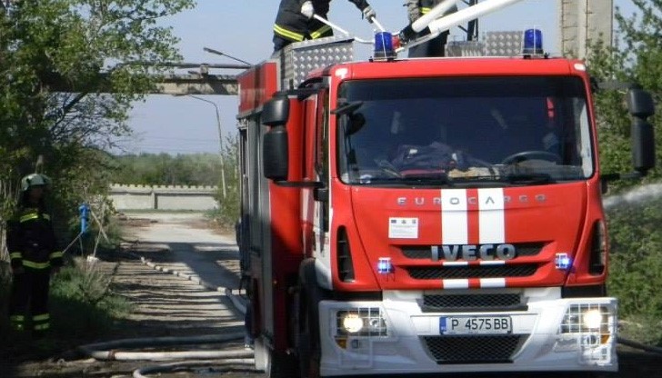 Огнеборци спасиха кон от пожар в стопанска постройка Огнеборци спасиха кон от пожар в стопанска постройка