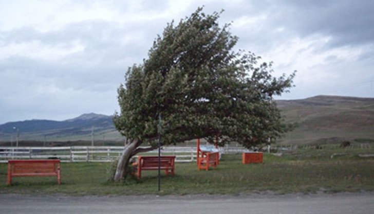 Внимание! Жълт код утре! Силен вятър ще брули Русе и още 14 области