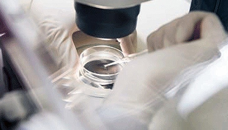 Млада жена издъхна в клиника за ин витро оплождане Млада жена издъхна в клиника за ин витро оплождане