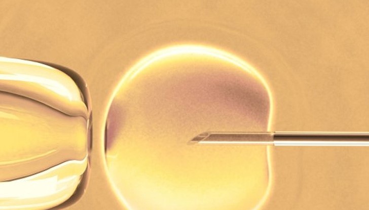 Общината стартира втория етап за прием на документи по програма "Ин витро"