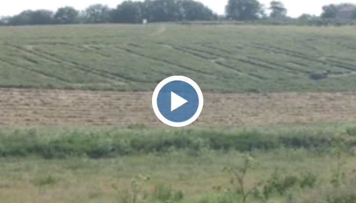 Мъж изора 4 дка надпис „Оставка” в нива край Бъзън