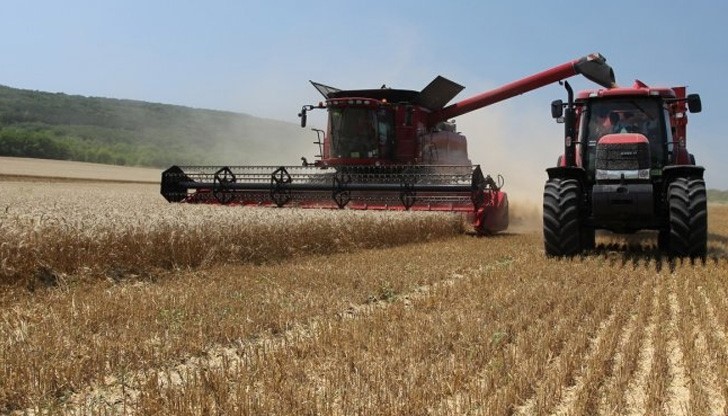 Жънат пшеницата в Русенско Жънат пшеницата в Русенско