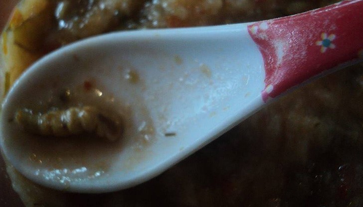 Гъсеница в храната от Детска млечна кухня в Русе