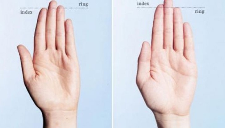 Сексуалността на мъжете зависи...и от дължината на пръстите Сексуалността на мъжете зависи...и от дължината на пръстите