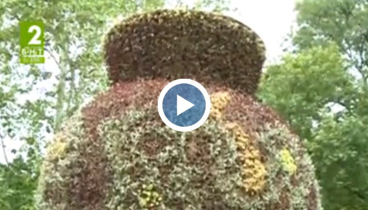 Вазата в Парка на младежта, скоро ще разцъфти в нова „премяна“