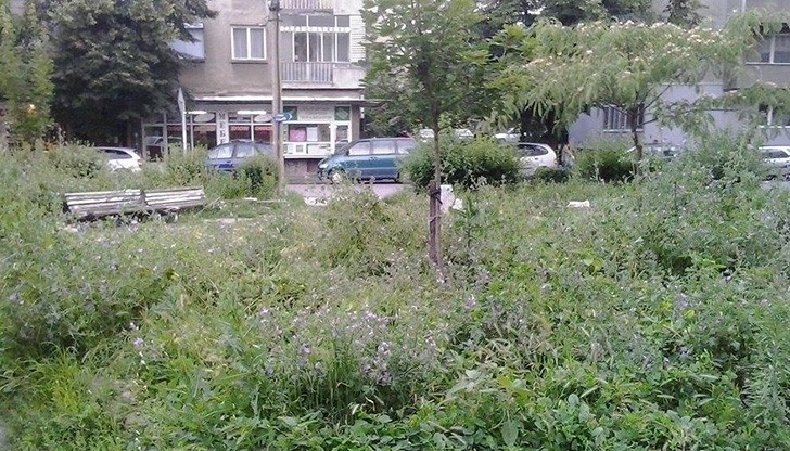 Безплатен терариум в Русе...скоро!