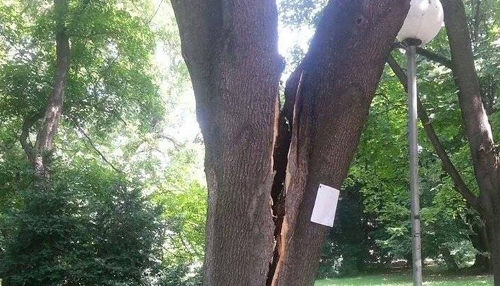 След вчерашната буря ...