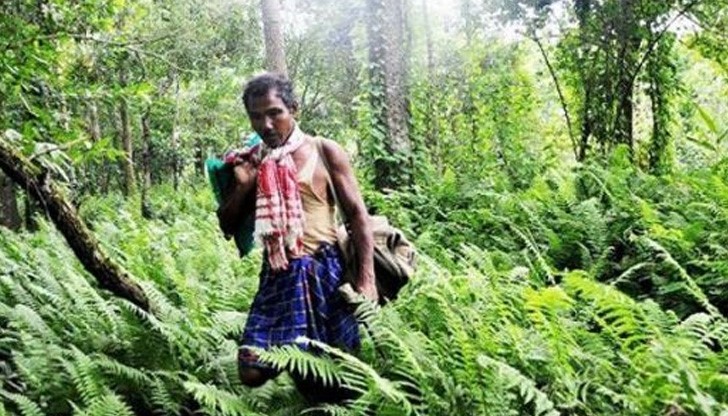 Вижте кои са най-упоритите живи същества на света Вижте кои са най-упоритите живи същества на света