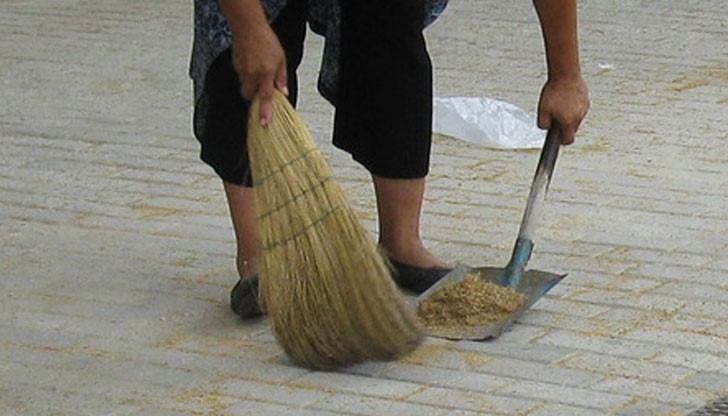 Цигани "берат" липов цвят с метли Цигани "берат" липов цвят с метли