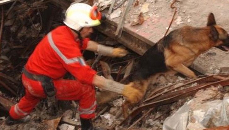 БЧК изпраща в "Аспарухово" екипи с кучета за издирване на изчезналото дете