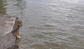 Спасиха по чудо две деца в река Дунав