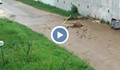 Цигани пукат водопровод в "Чародейка" и оставят квартала без вода