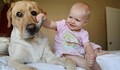 Най-удивителните бебета и техните големи кучета