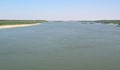 Дете на 6 години преплува река Дунав