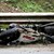 Мотоциклетист загина след удар в два автомобила
