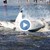 Бяла акула се задави с морски лъв и умря мъчително край брега