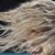 Вятърът в Русе фучи със 72 км/ч