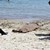 Руснак се удави на неохраняем плаж край Ахелой