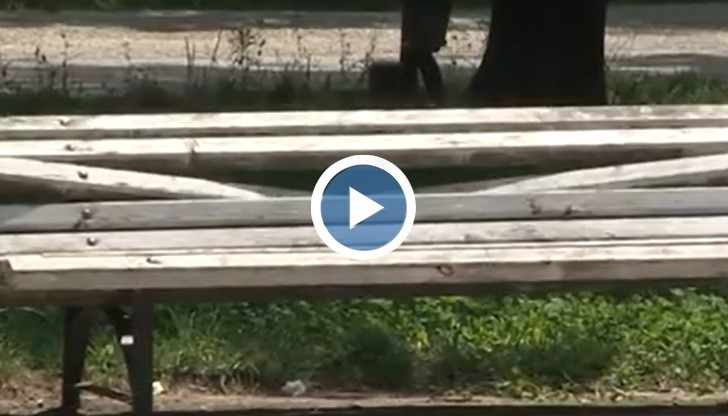 Вандалите в Русе струват 20 000 на Общината