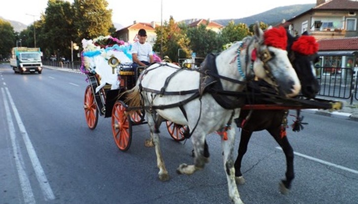 Младо ромско семейство катастрофира с файтон в сватбения си ден Младо ромско семейство катастрофира с файтон в сватбения си ден