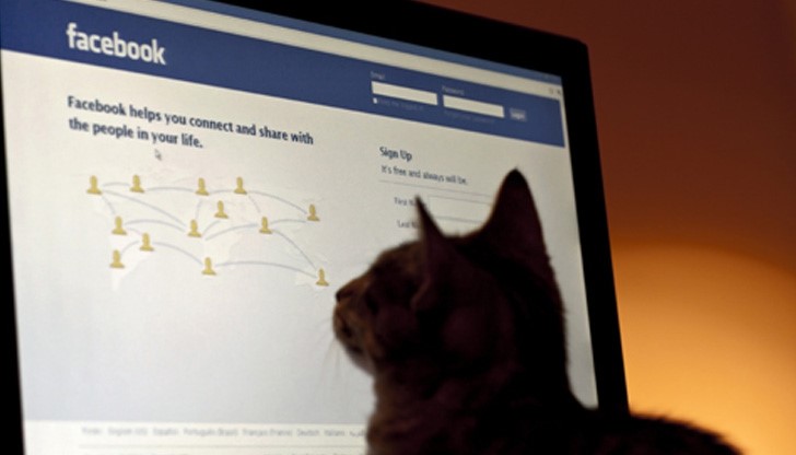 Ще се живее 99 дни без Фейсбук