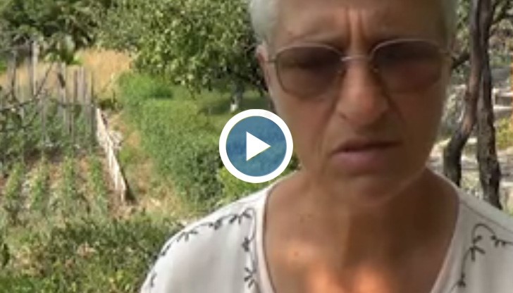 Петър Дънов: Когато обичате, не се интересувайте дали ви обичат