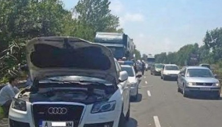 Камион на цирк "Балкански" с маймуни и понита причини верижна катастрофа Камион на цирк "Балкански" с маймуни и понита причини верижна катастрофа