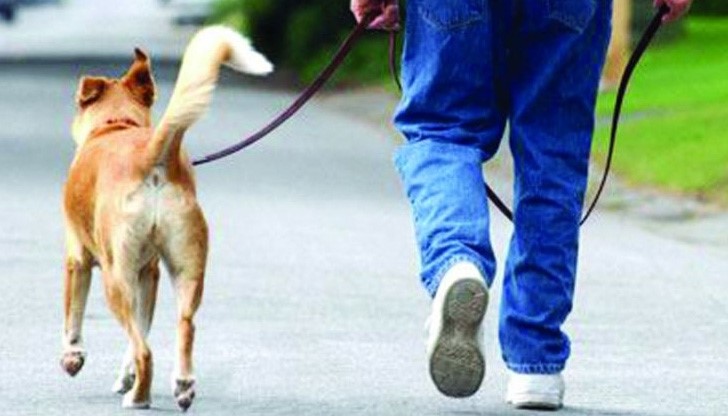 Евала! Трябва да се учим от такива хора