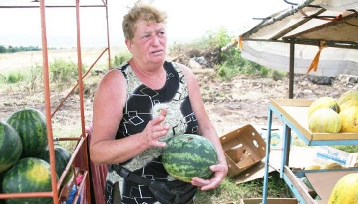Чакали излапаха тонове дини