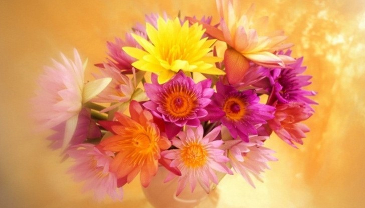 Имен ден празнуват над 1500 русенци днес Имен ден празнуват над 1500 русенци днес