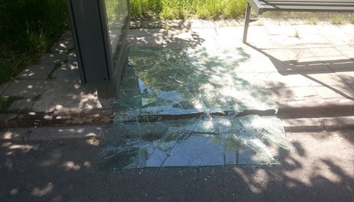 Хванаха вандал, вилнял в кв. "Чародейка" в Русе Хванаха вандал, вилнял в кв. "Чародейка" в Русе